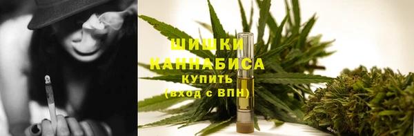 spice Аркадак