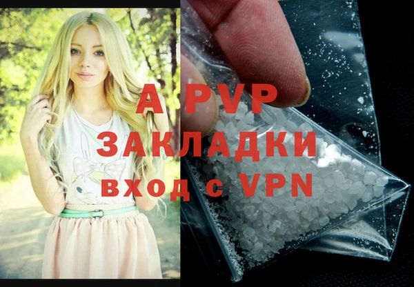 гидра Алексин