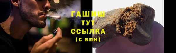 хмурый Арсеньев