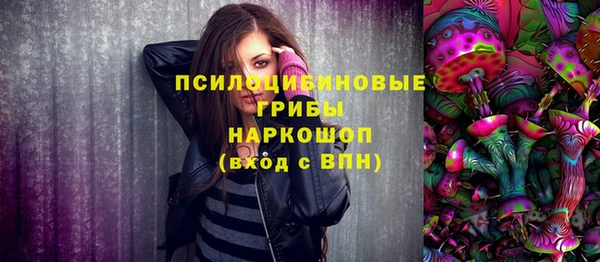 хмурый Арсеньев
