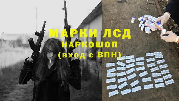 хмурый Арсеньев