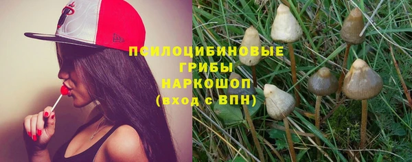 винт Алзамай