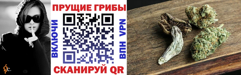 наркошоп Куйбышев Псилоцибиновые грибы MAGIC MUSHROOMS
